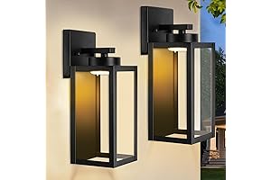 2-Pack LED Outdoor Wall Light Fixtures - Your Path to Enhanced Exterior Illumination