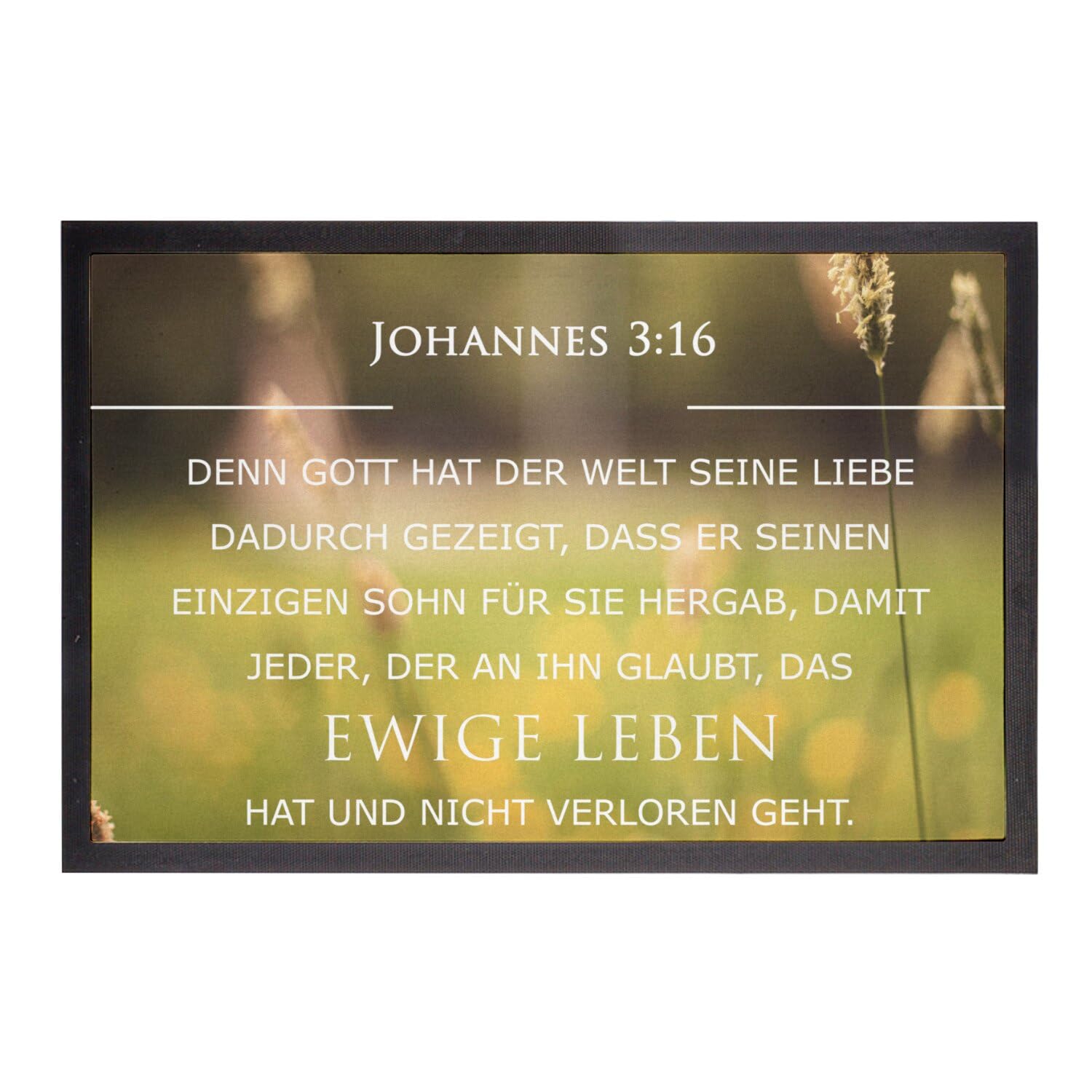 Paillasson Johannes 3:16 tapis spirituel 75x50cm pour sublimer votre entrée de maison familiale