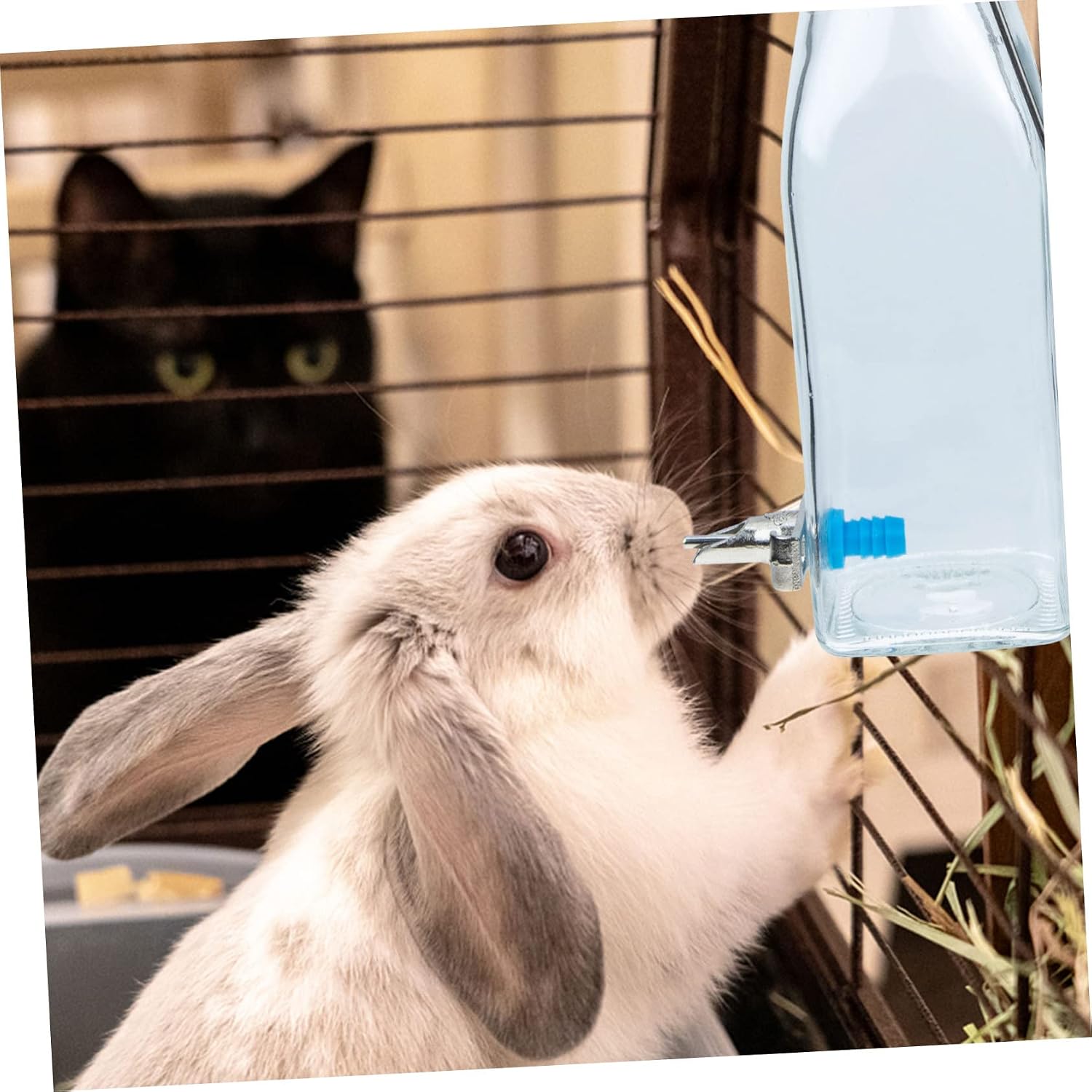 Small Pet Water Bottle Bunny Waterer Leakproof Rabbit Water Dispenser for Hamsters Guinea Pigs Ferrets Hedgehogs Gerbils Mice Cage Hanging Feeder