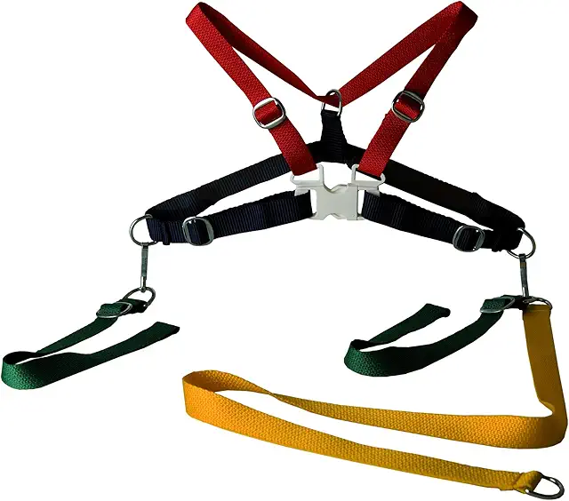 Sunnybaby Kids Textile Safety Harness - Multicolor Child Safety Strap for Strollers