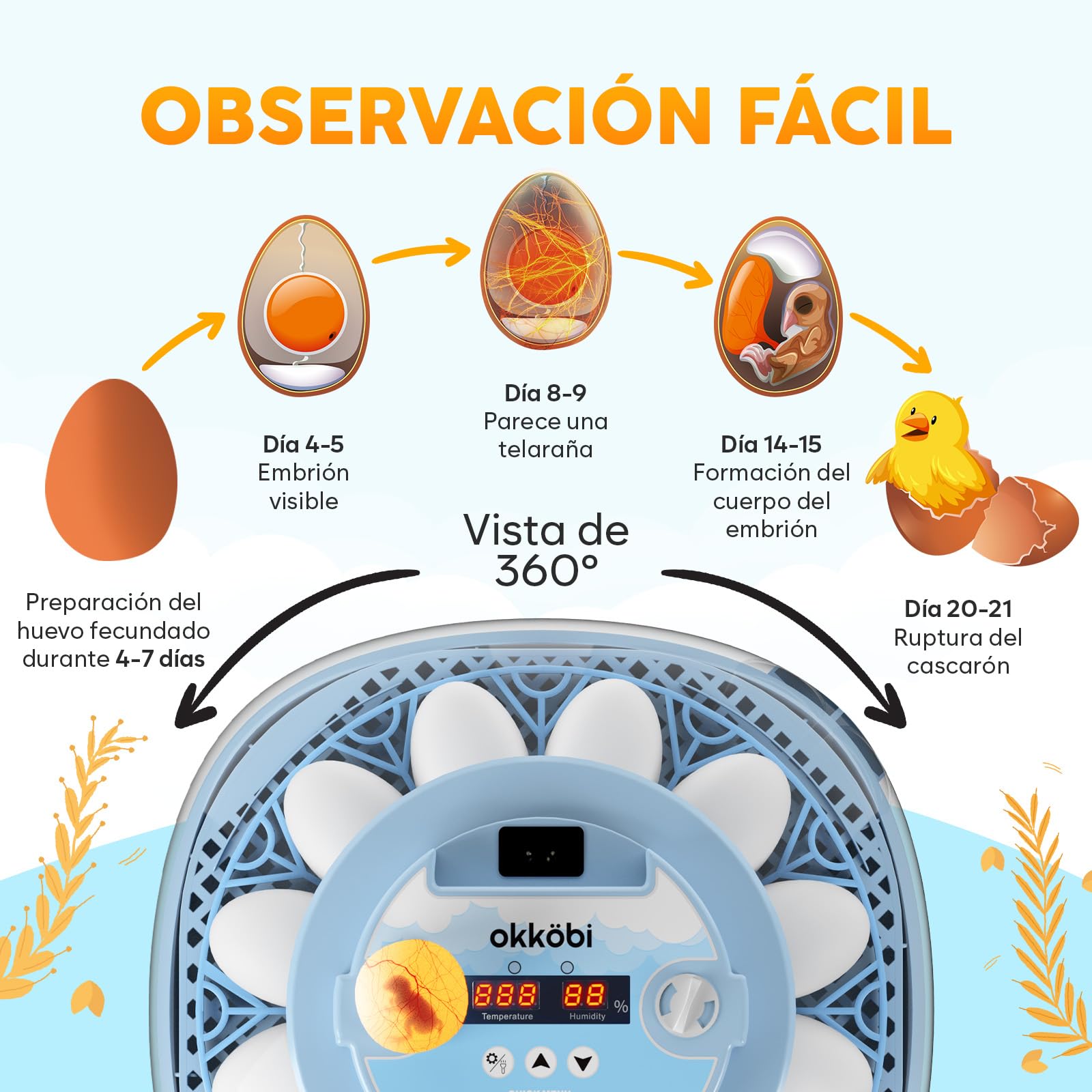 Incubadora de Huevos Automática 12 Huevos – Giro Automático, Control de Humedad, Luz para Revisar Huevos, Botellas de Agua, Ventilación, Vista 360°