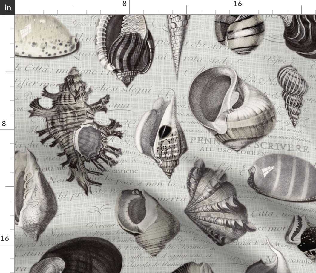 Spoonflower Fabric - Vintage Beach Coastal Marine Nautical Ammonite Shell Fossil Print Printed on Petal Cotton Fabric Fat Quarter - Sewing Quilting Apparel Crafts Decor