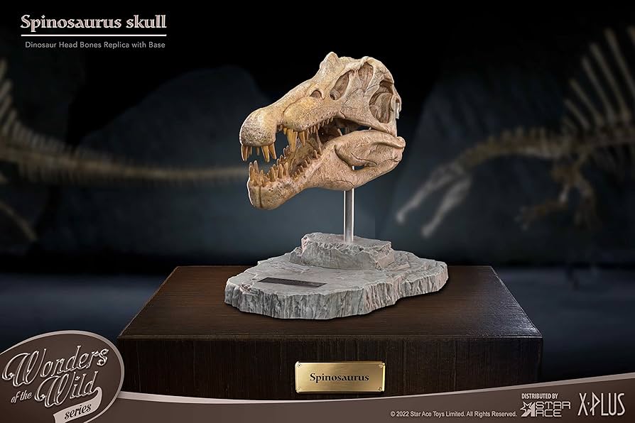 世界に一つ、不世出　スピノサウルス　1/10 木彫　頭骨模型　１９㎝ 世界に一つ、不世出 スピノサウルス 1/10 木彫 頭骨模型 19