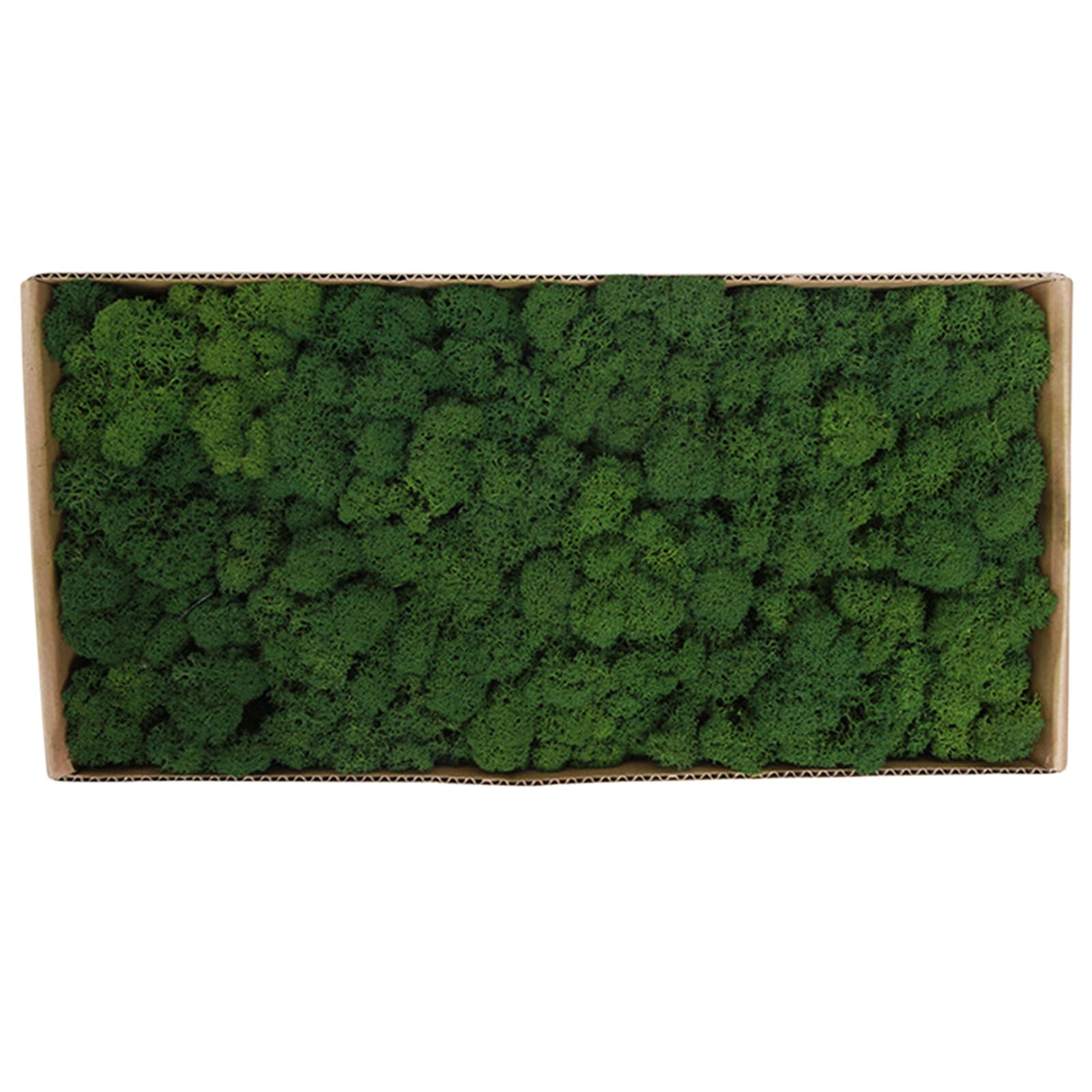 Entweg - Preserved Moss,Preserved Moss Wall Decor Real Preserved Moss No Maintenance Required Naturally Preserved Moss For Home Wall Party Festivals Crafts Xmas Indoor Office Decoration