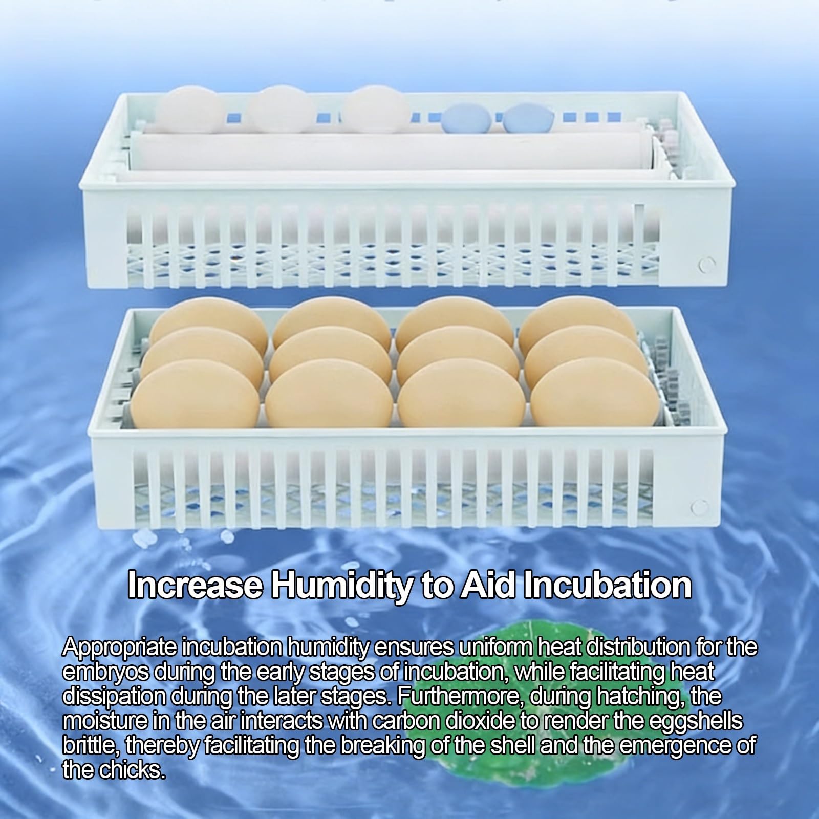 Incubadora de Huevos Automática, Eclosionadora Digital con Control de Temperatura y Humedad, para Gallina, Pato, Codorniz y Paloma(50 Eggs)