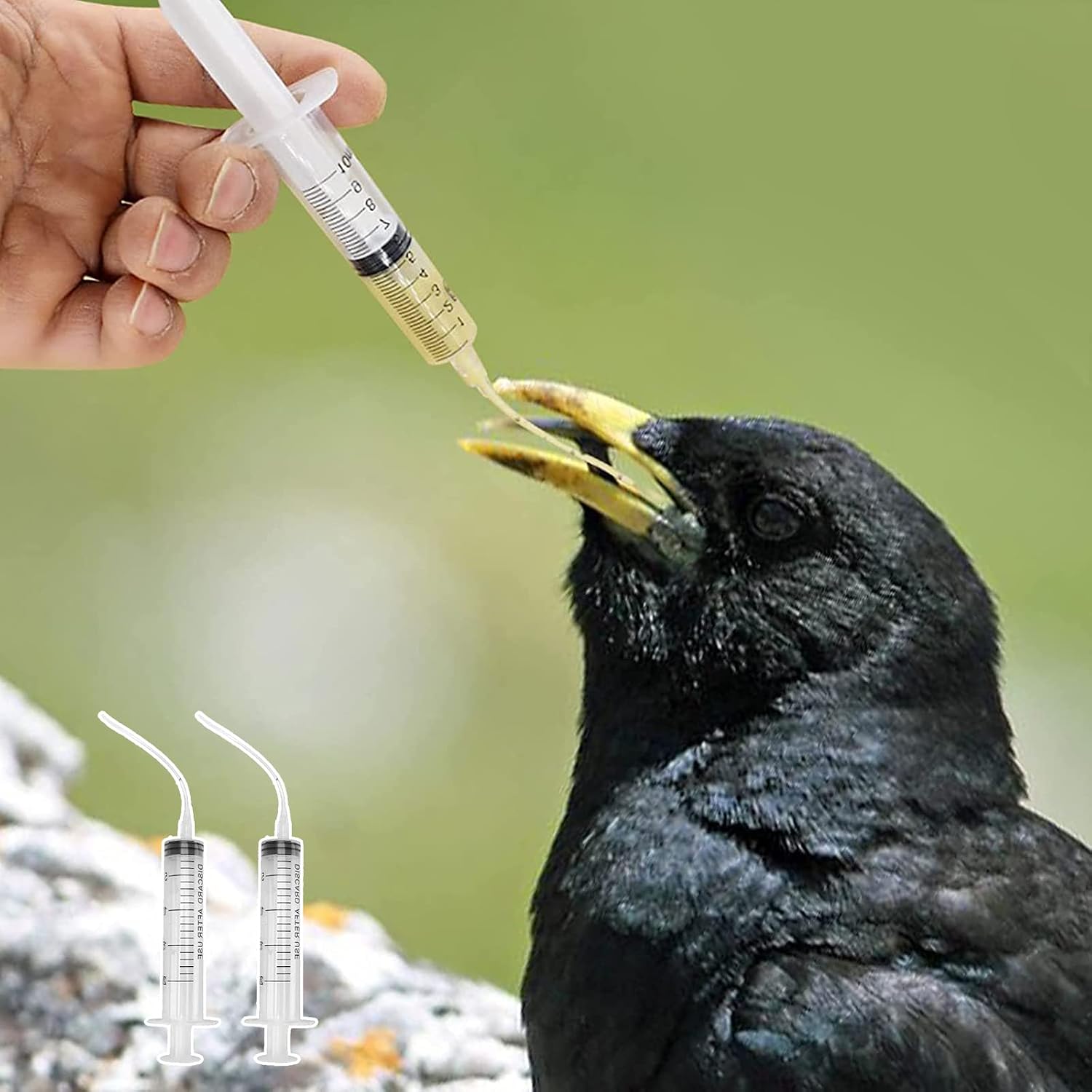 チューブ付くシリンジ 鳥に投薬、投食 水