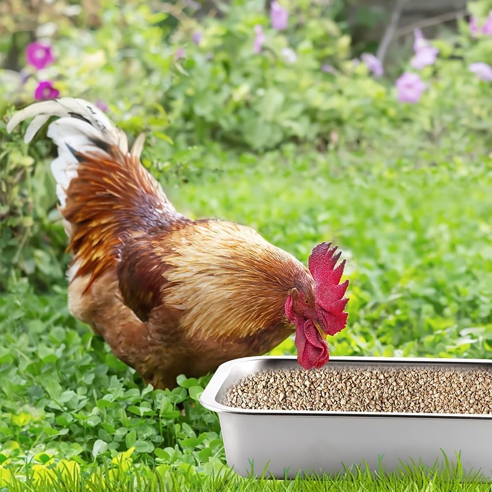 Alimentador de pollo de gran capacidad, equipo de riego de ganado de acero inoxidable para pollos, patos y cerdos, accesorios para gallineros