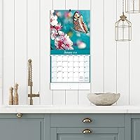 Vista 6 de Turner - Mini calendario fotográfico de pared con mariposas (24998950054)