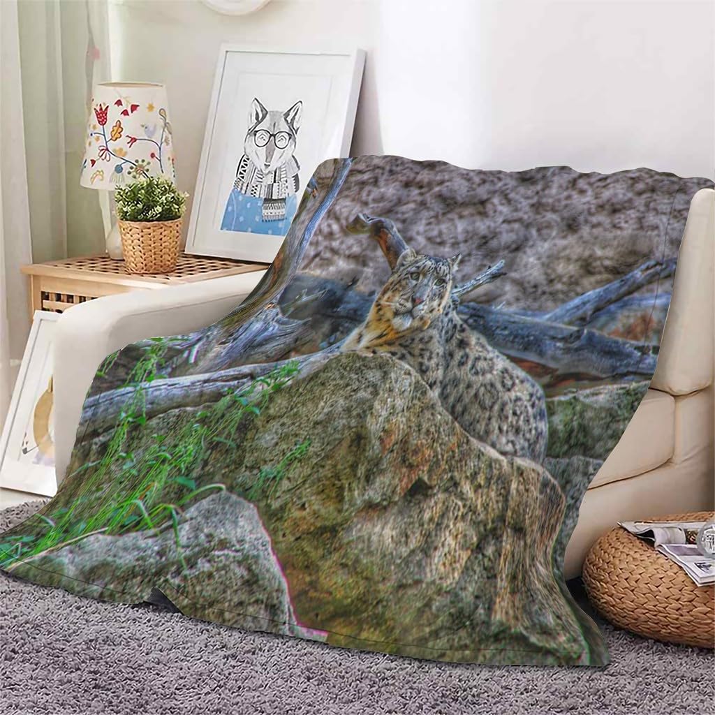 Generisch Puszysty koc do przytulania, ciemnoszary, panterka, 200 x 200 cm, miękki i dwustronny koc polarowy, idealny koc na sofę dla wszystkich, przytulny koc na sofę i łóżko AL791