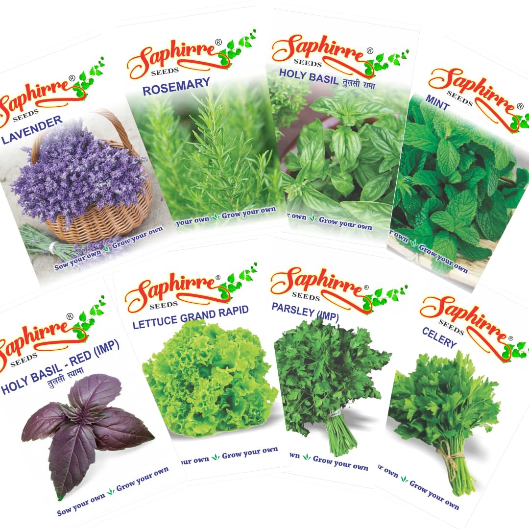Easy to Grow 8 Herb Seeds Combo | Seeds for Home Garden | Celery, Lettuce, Parsley, Tulsi, Basil Red, Rosemary, Lavendar, Mint | 600+ Seeds | Best Gift for Gardeners (Herb Seeds Combo)