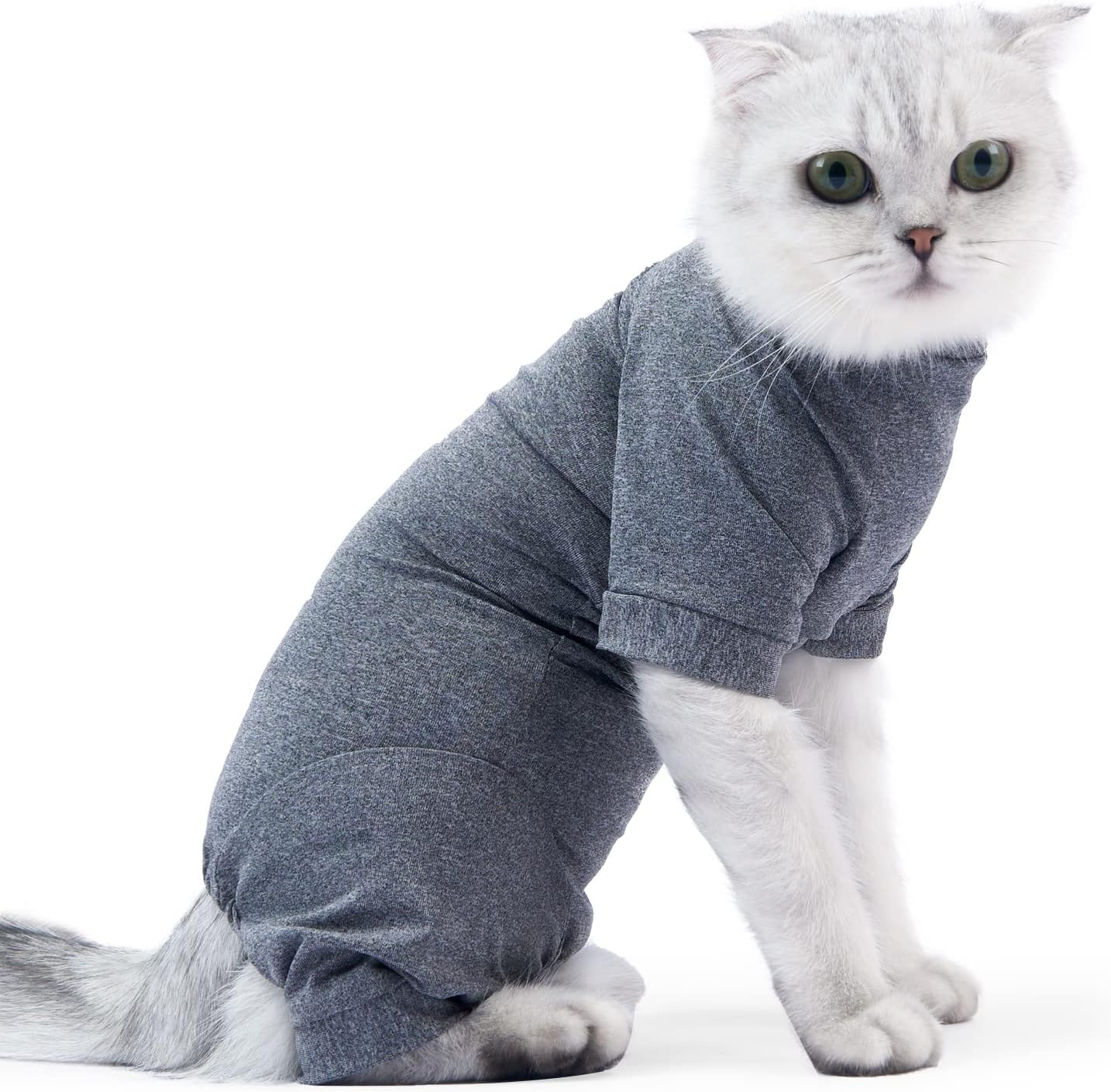 cat surgery suit