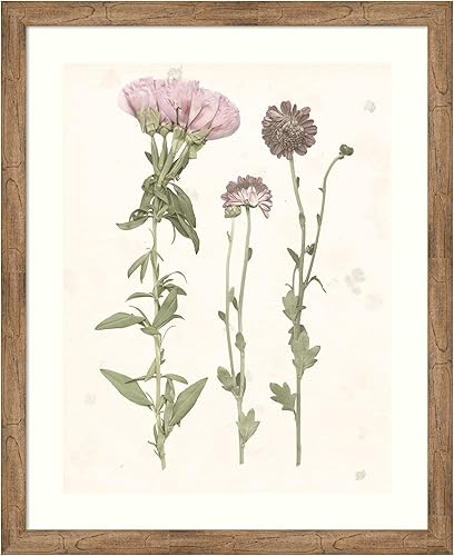 Amanti Art Grace Popp - Lienzo decorativo para pared, 44 x 36 pulgadas, diseño de flores prensadas III, arte de pared de flores, decoración vintage,