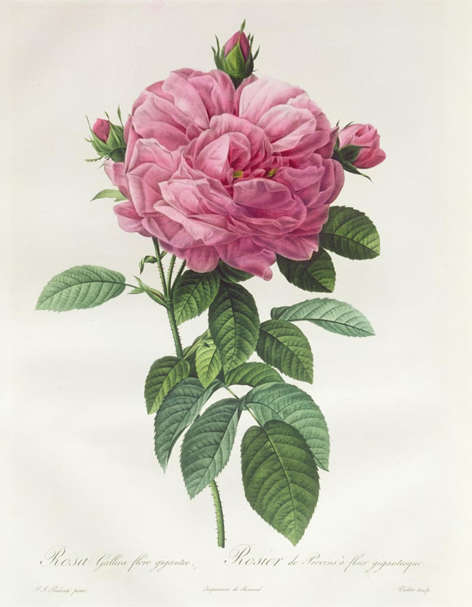 Cuadro de flores clásicas para llenar de calidez y arte tu hogar 5