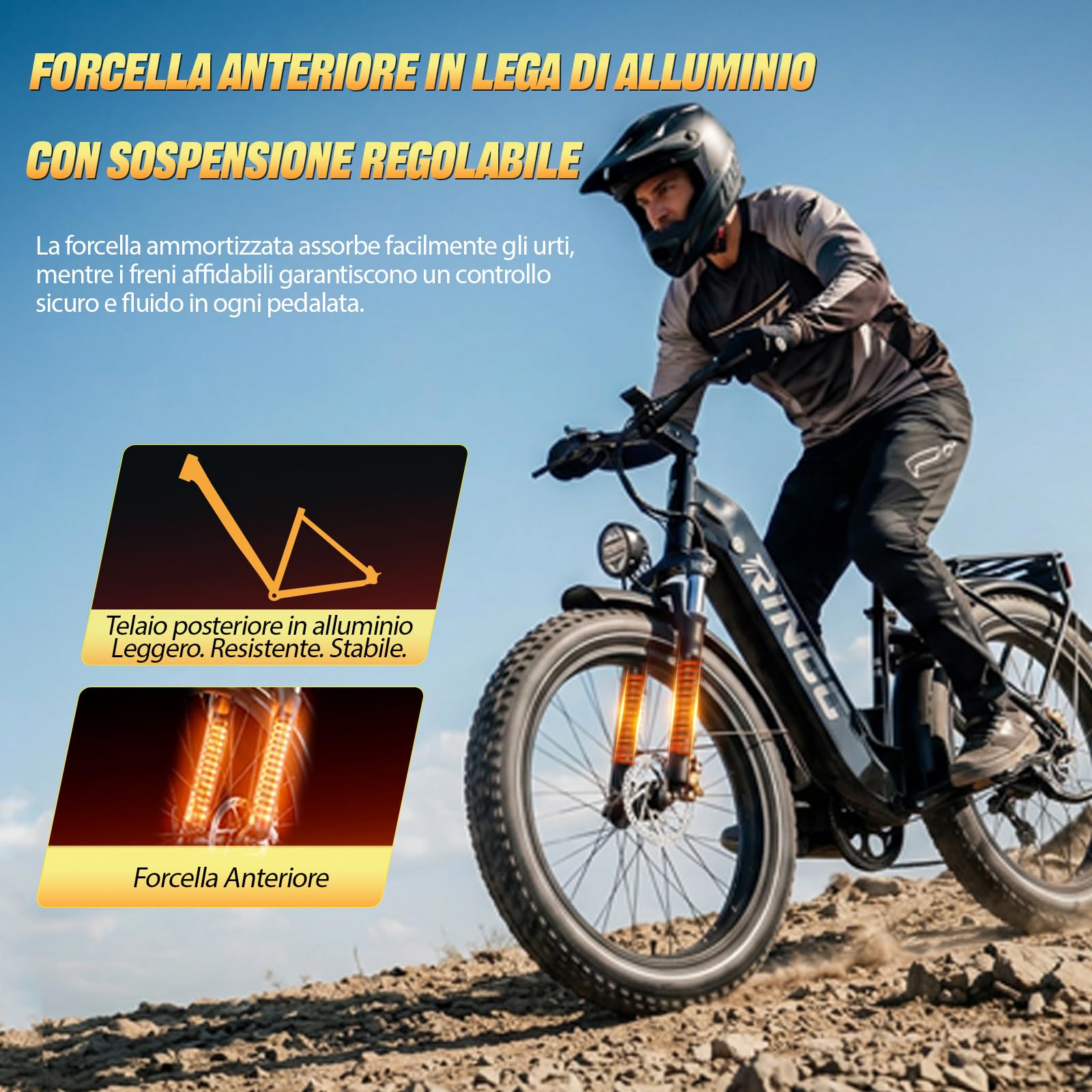 RINCC RN60 Bici Elettrica MTB,E-Bike Uomo, 960Wh 20Ah Batteria,Gamma PAS Autonomia di 100-120km,250 W,Pneumatici All Terrain Fat 26“*4,0”,Freni Idraulici Anteriori e Posteriori,7 Velocità