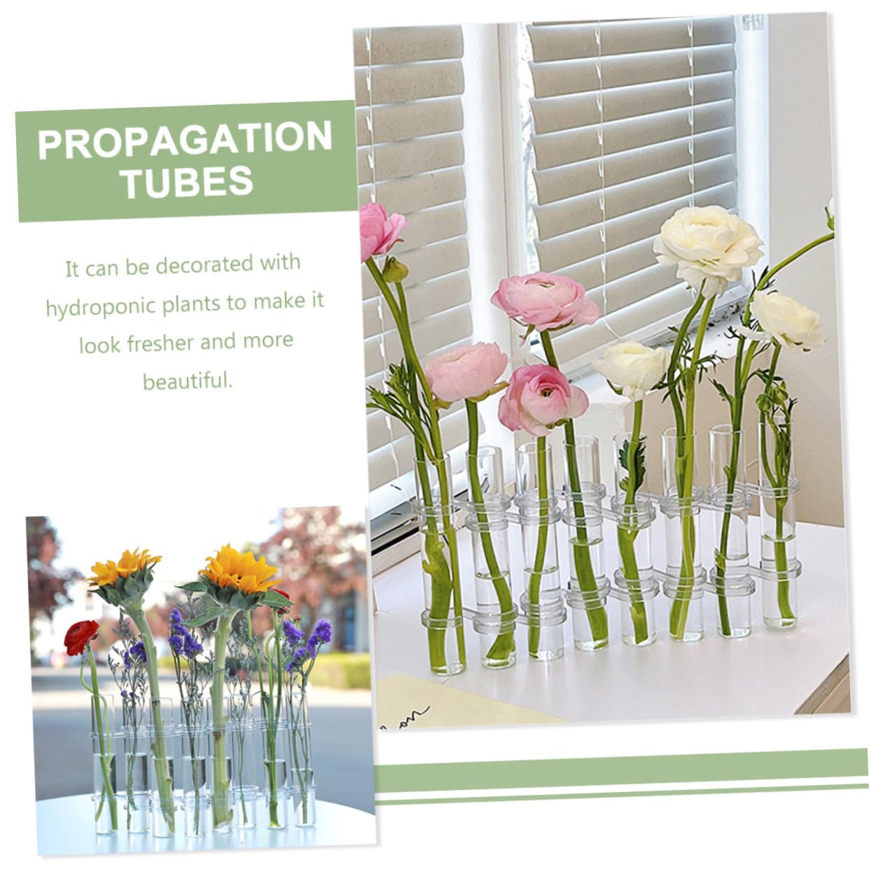 Vase Hydroponique Transparent Verre Tubes De Propagation pour Plantes avec Support pour Culture Pot Ou Terrarium