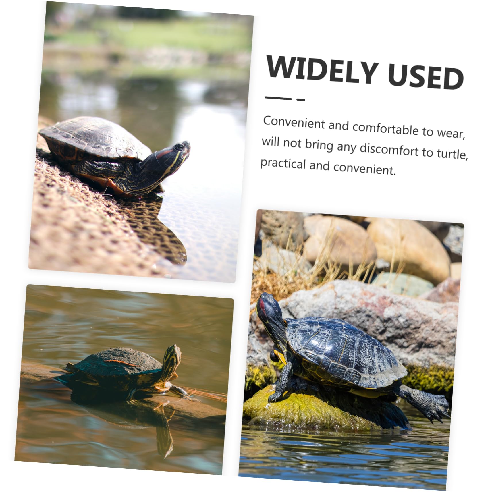 HOLIDYOYO Turtle Leash with Harness Convenient Pet Tortoise Walking Strap for Outdoor Adventures Wear Resistant and Flexible Design for Reptiles