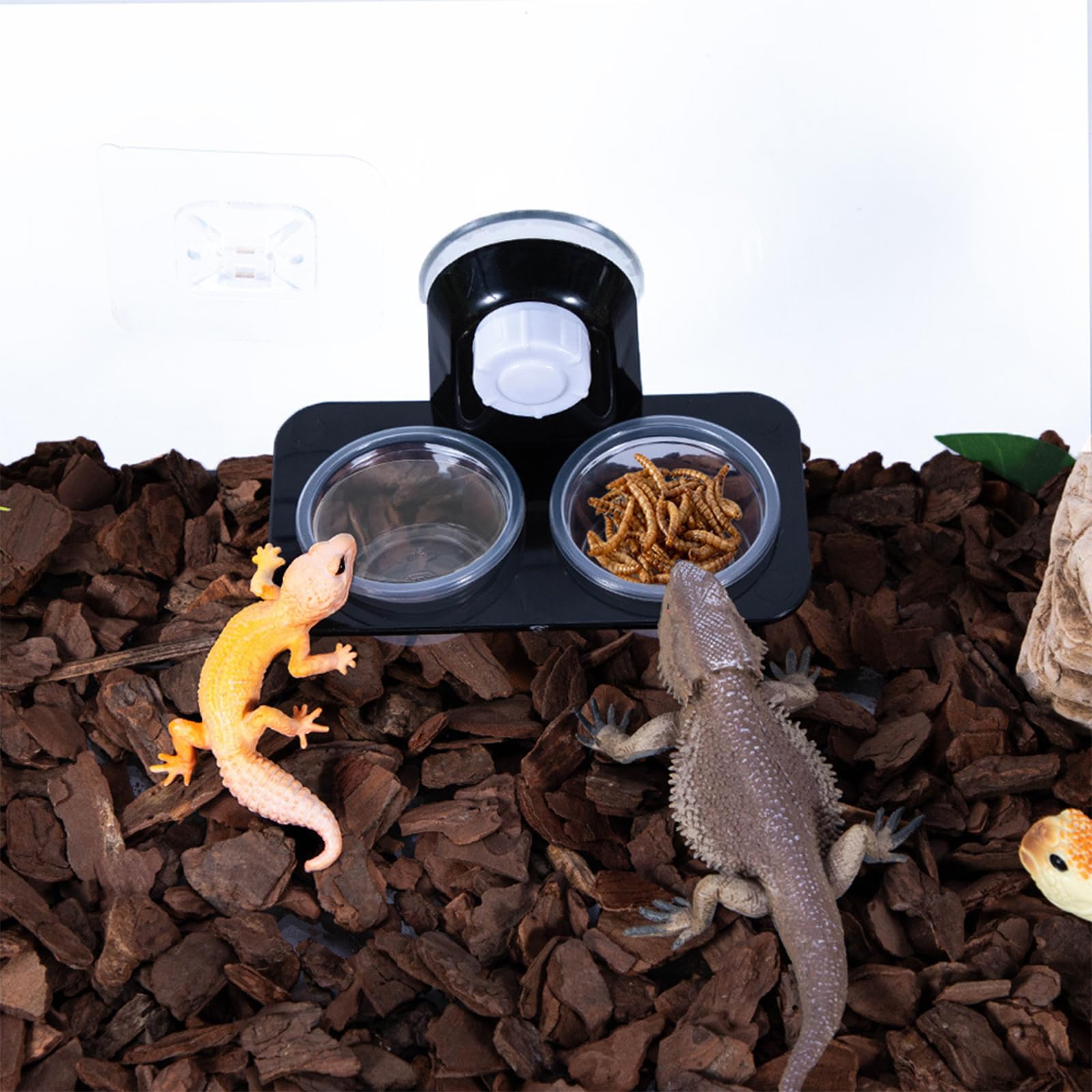 2 Pièces Bol Alimentation Gecko, Reptile Feeder Ventouse, avec 32 Tasses Interchangeables, Convient aux Petits Animaux de Compagnie comme Le Lézard, Le Gecko à Crête, Le Gecko Léopard (B)