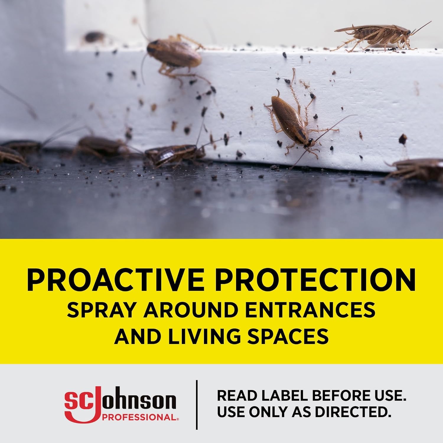 SC Johnson Professional Raid Ant and Roach Killer Insecticide Aerosol Spray, Outdoor Fresh Scent, 12 oz, 12 Pack