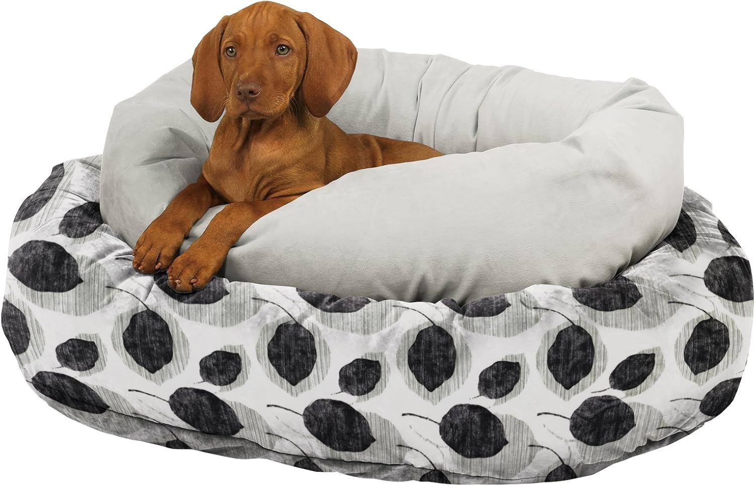 bowser dog beds amazon
