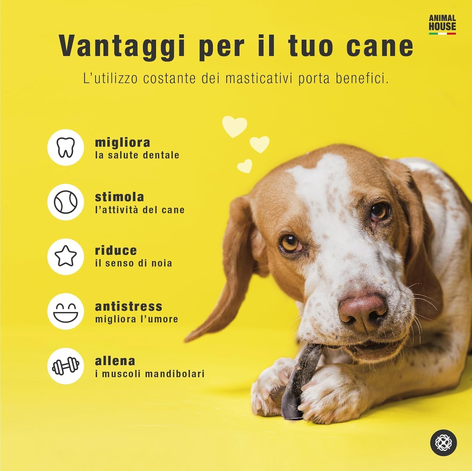 Animal House Corna di Bufalo per Cani, Masticativo Naturale, Igiene Orale, Resistenti, Cruelty Free (1, S)