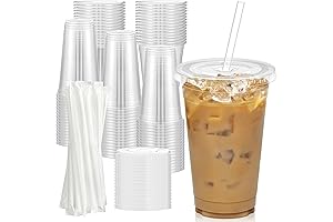 20 Oz Disposable Cup with Lid and Straw (100 Pack)