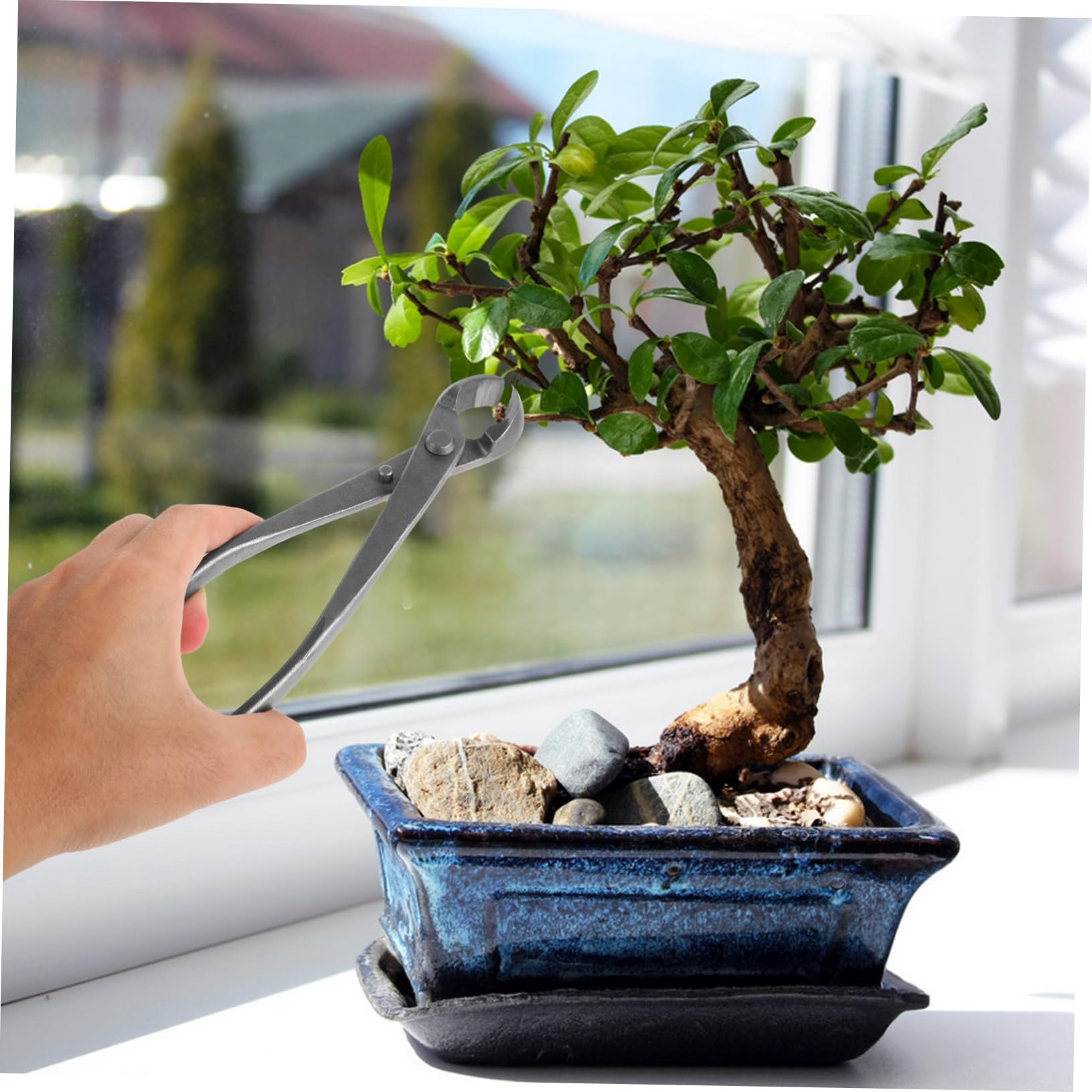 Bonsai Baumwerkzeuge Gartenschere Kohlenstoffstahl Präzise Bypass Gartenschere für Hobbygärtner Bonsai Künstler Vielseitig Einsetzbar