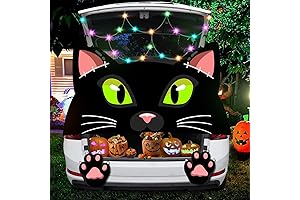 Trunk or Treat Glowing Black Cat Decoration Kit