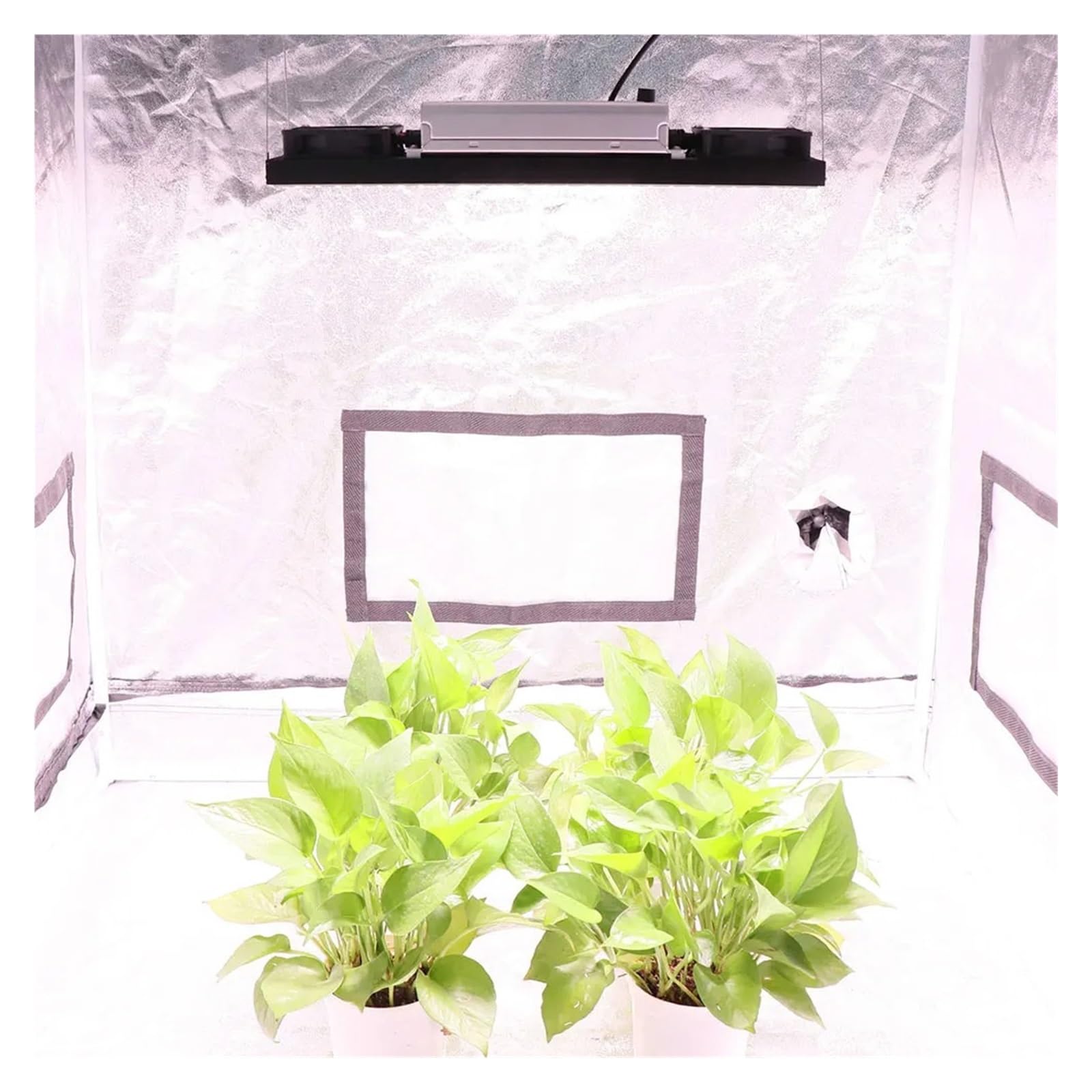 Lámpara de Cultivo, Driver-Placa de 200W LM301H, Luces/lámparas LED Regulables de Espectro Completo for Crecimiento de Plantas hidropónicas Vegetales y florecientes(3500k)