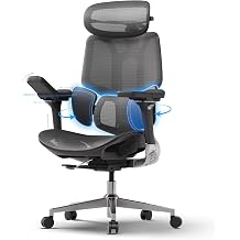 Hbada Ergonomic Office Chair E3 Pro 3-Zone Lumbar Support