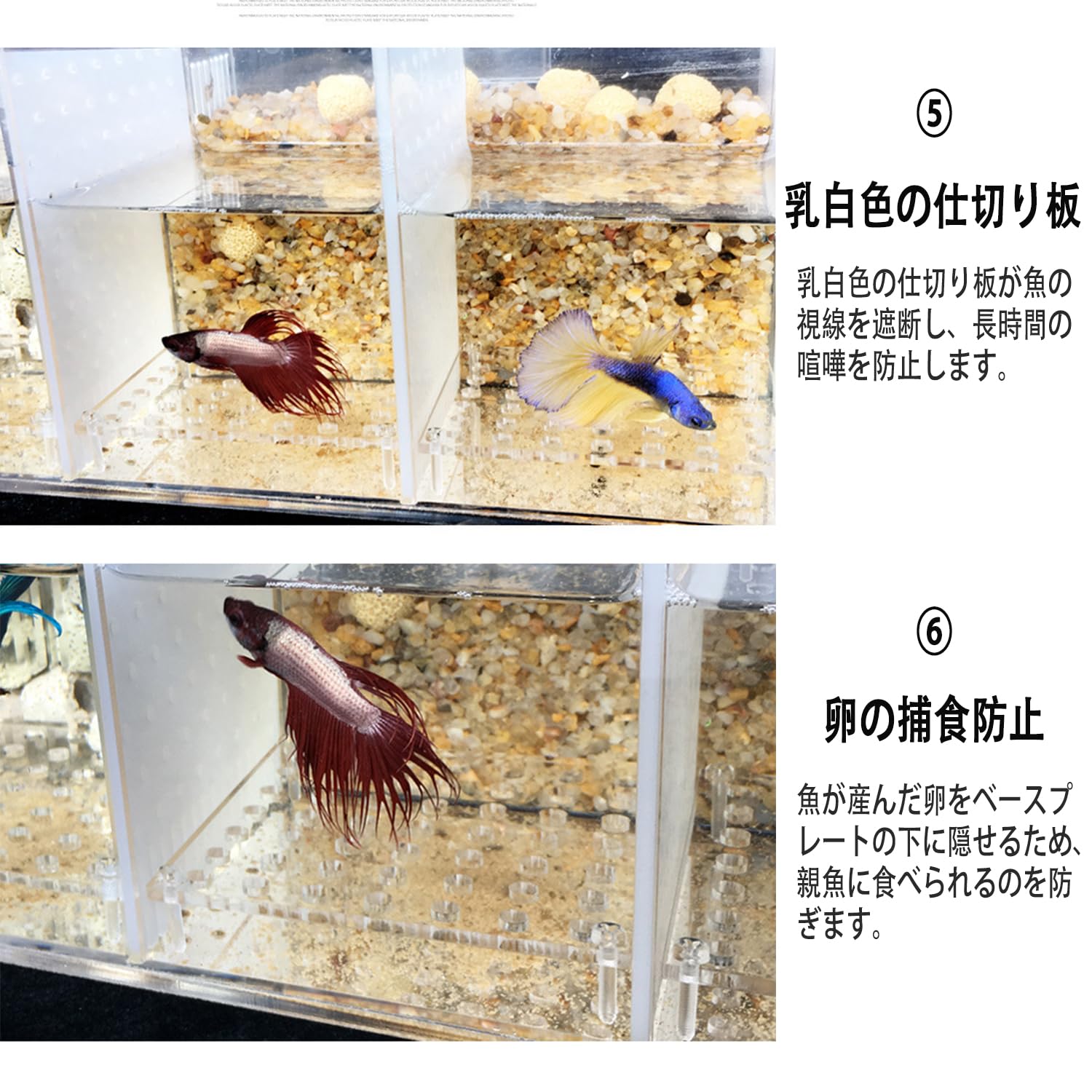 Amazon | FWYTT ミニデスクトップベタ水槽セット アクリル素材 ベタ 