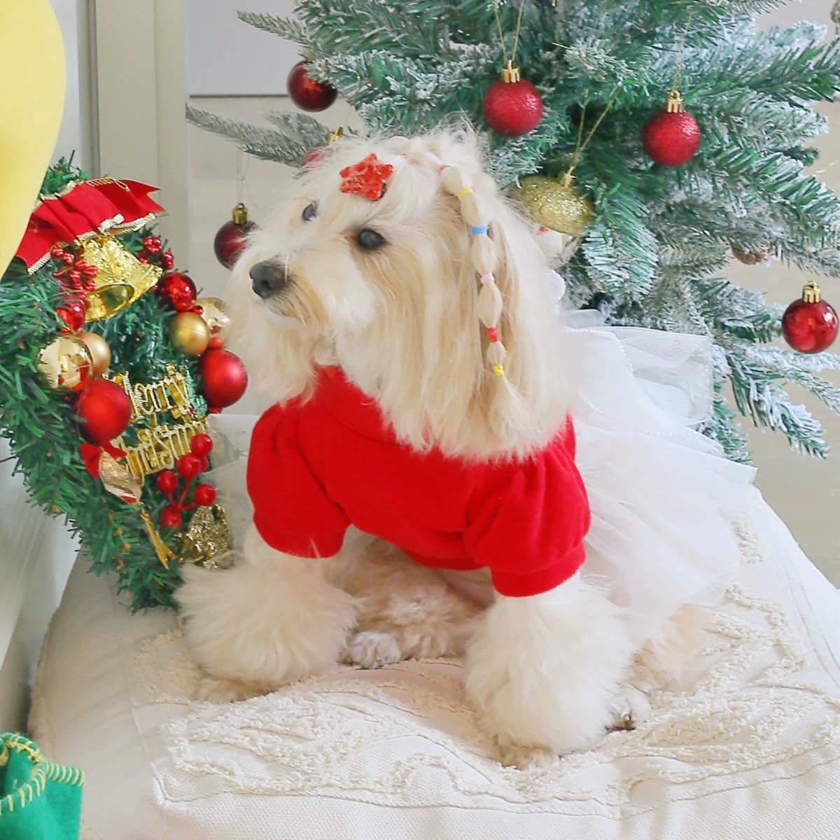 Robe de Noël pour Animal de Compagnie, Motif Tulle Rouge et Blanc avec nœud, Tenue de Vacances pour Petits Chiens et Chats (Rouge, XL(5-7.3kg))
