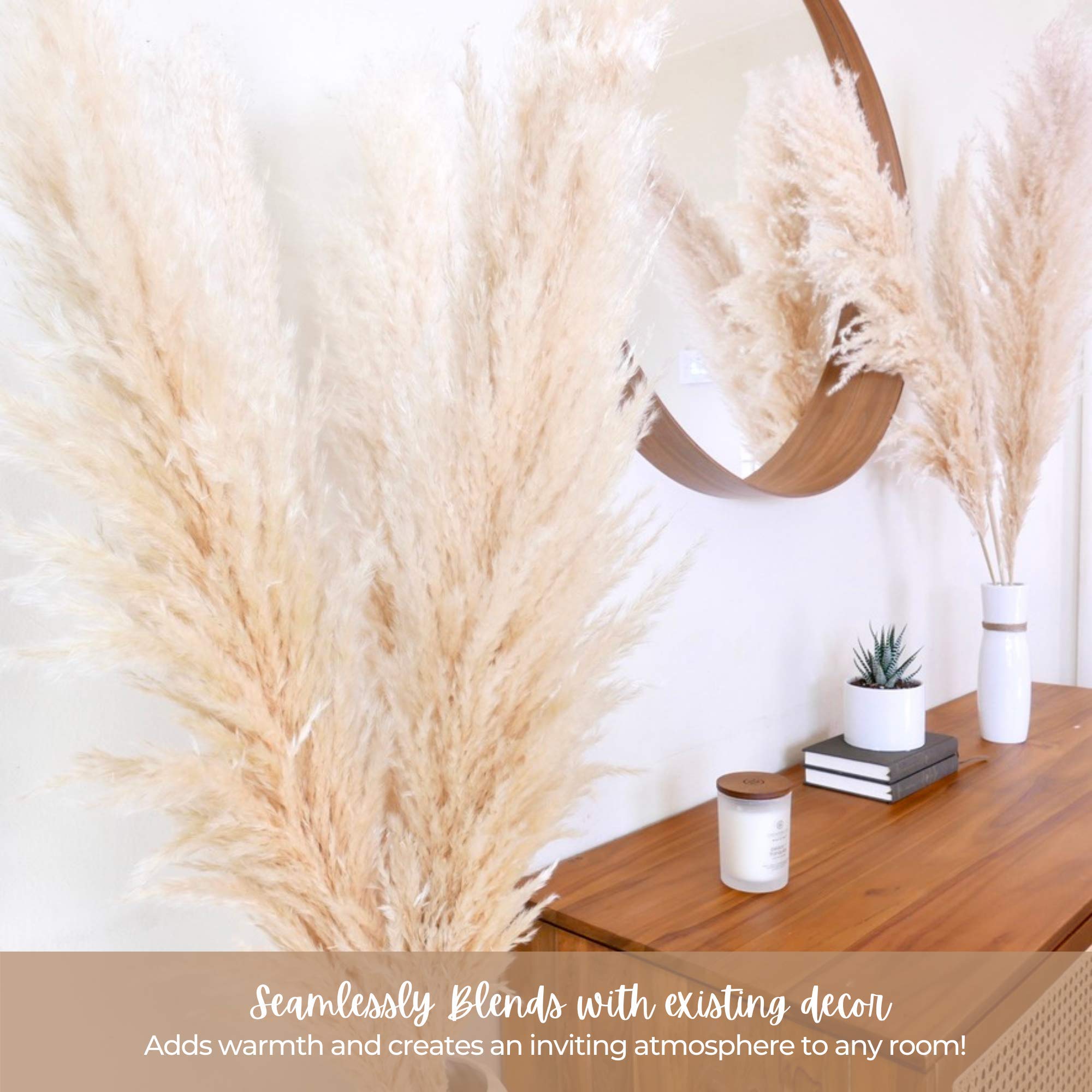 31Mod Pampas Grass Large with Tall Stems—3 Stems Large Pampas Grass (48
