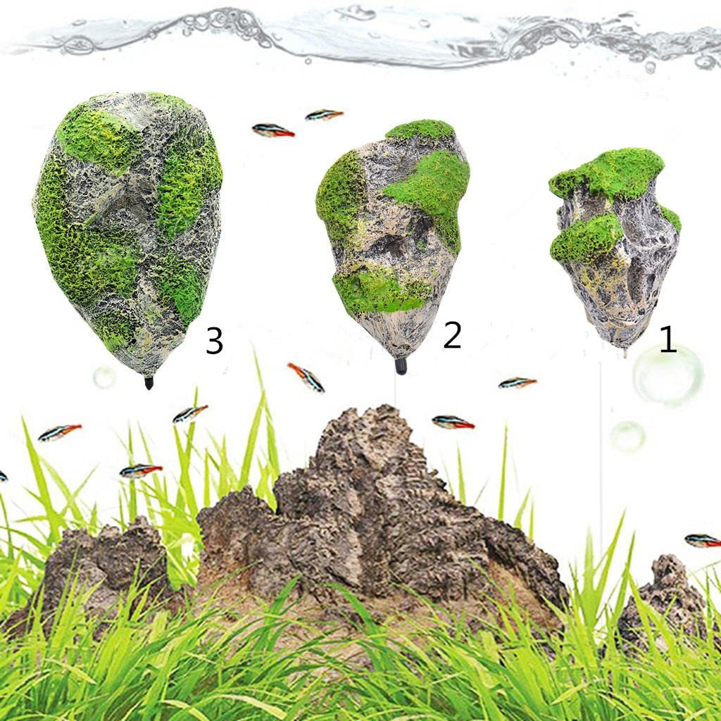 Colcolo Acquario con Rocce Galleggianti E Paesaggio Sospeso, L