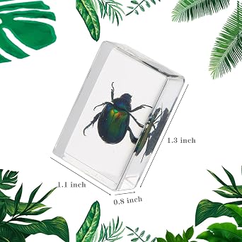 12 Pcs Insect in Resin - Bug Collection Educational Science Display Collection with 12 Unique Styles - Perfect for School Projects, Bug Collectors & Home Decor