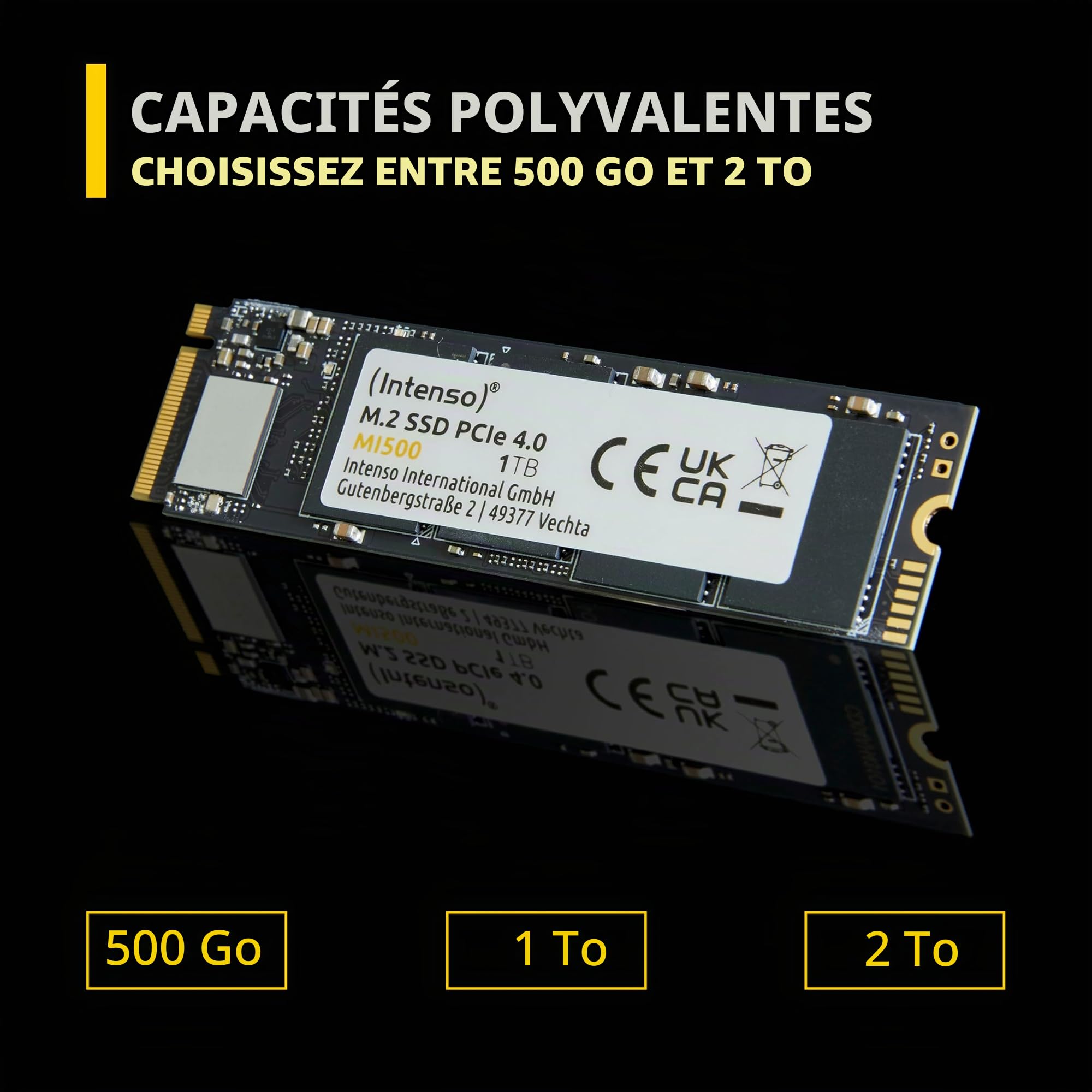 Intenso 2 TB SSD Interne NVMe/PCIe M.2 PCIe NVMe 4.0 x4 au détail 3836470