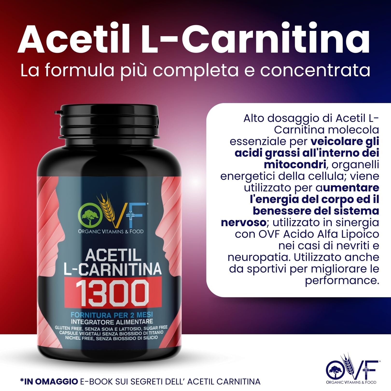 OVF - Acetil L-CARNITINA 1300mg 120cps (2 mesi di fornitura) - La Carnitina Potenzia la Produzione di Energia e favorisce il Metabolismo dei Grassi - Senza Biossido di Silicio - Made in Italy