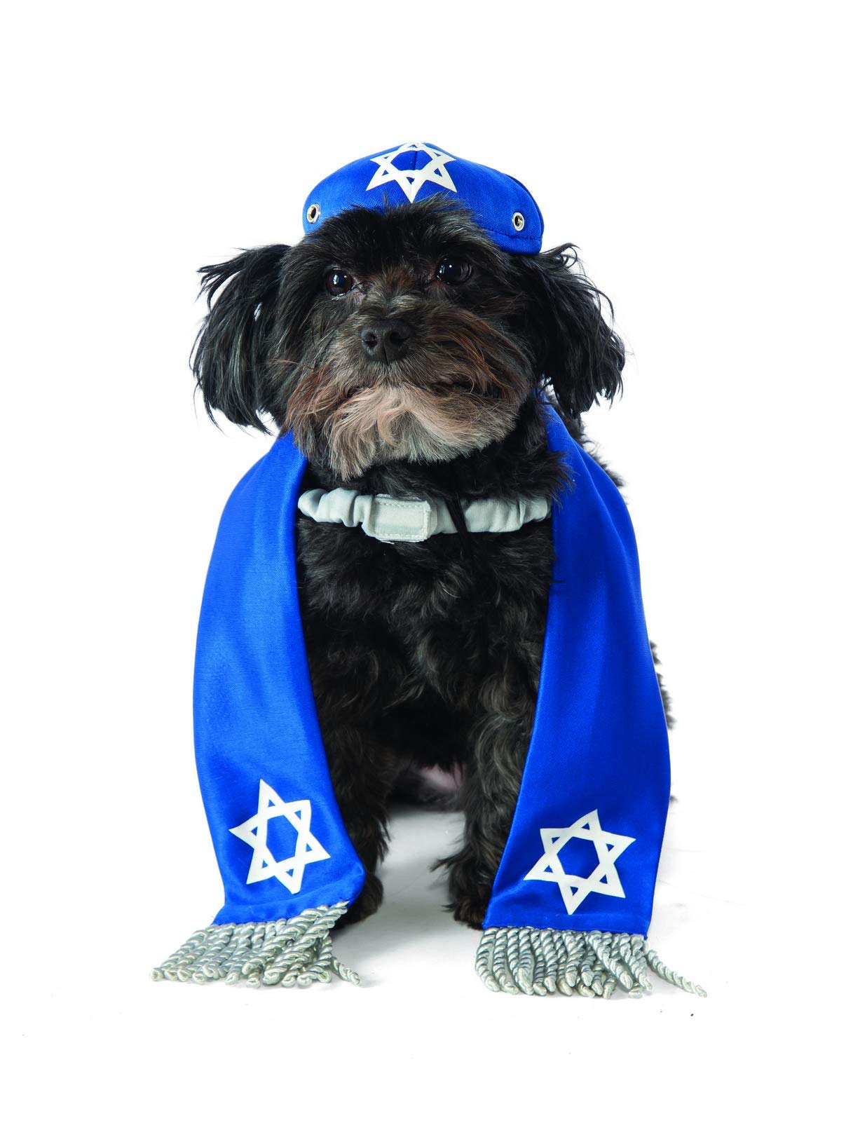 Rubie's Yarmulke and Tallis Costume for Pets, Medium/Large