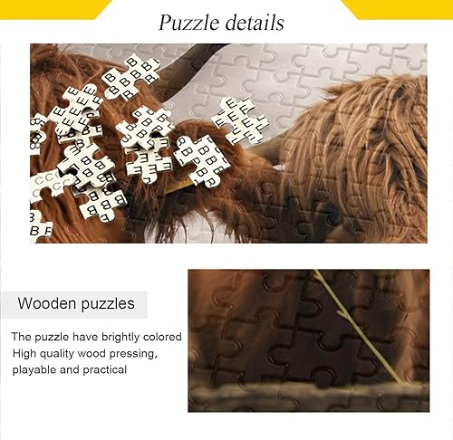 Miniatura 2 de xigua Rompecabezas de 500 piezas para adultos, divertidas vacas escocesas de ganado de las tierras altas, rompecabezas de 500 piezas encajan