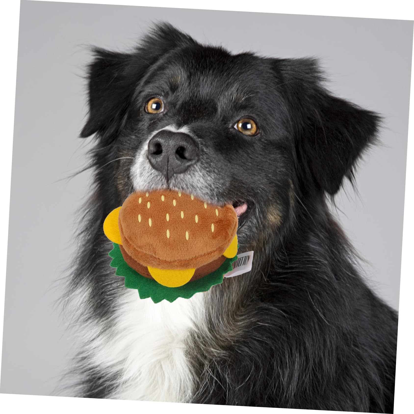 SUPVOX Jouet Couinement Intégré Chien pour Peluche Imitation Nourriture Résistant aux Morsures pour Chiots en Période de Jeu Détente