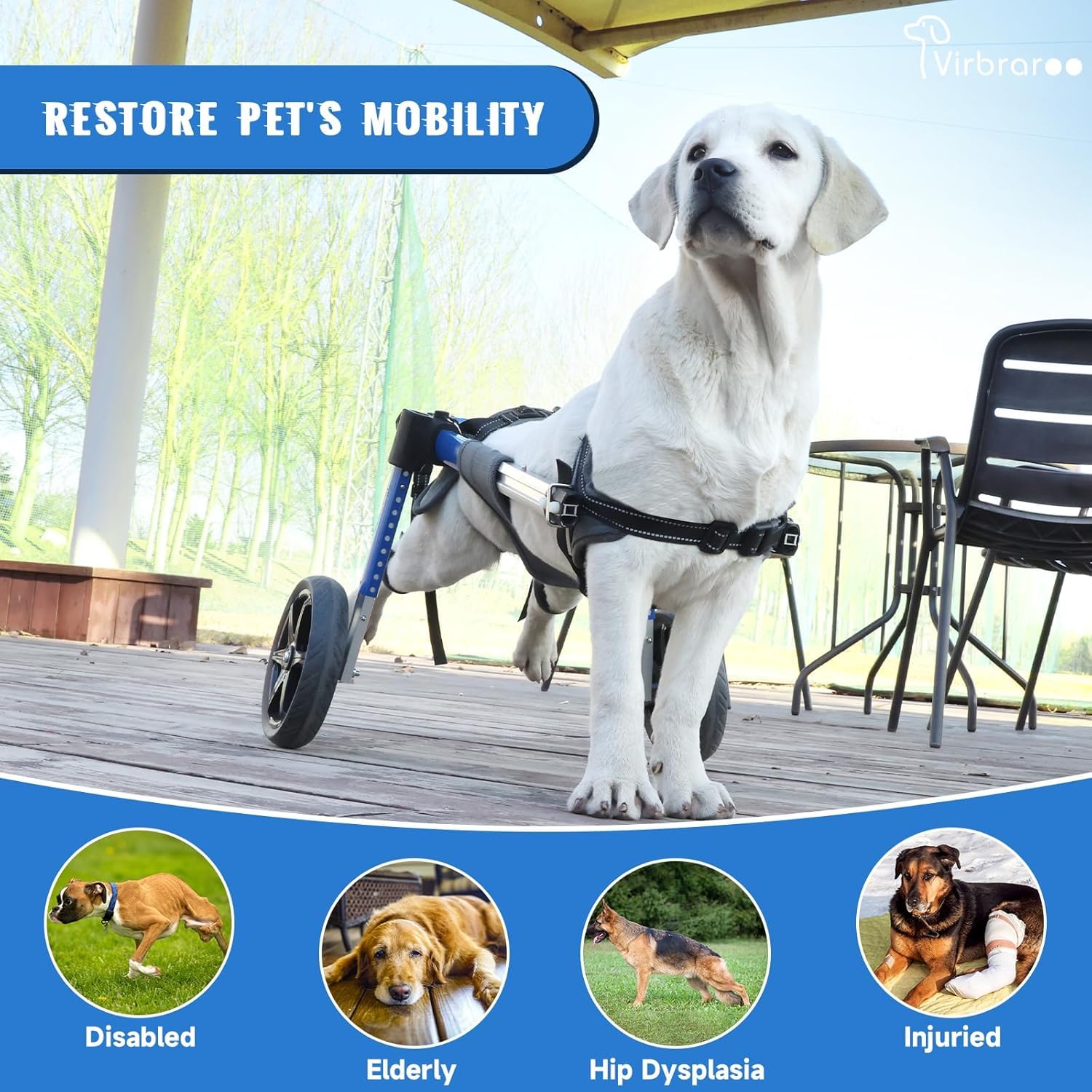 Hunderollstuhl für Hinterbeine – Verstellbarer Rollwagen für kleine Hunde 5–10 kg, 23-34 cm Beinlänge, Geländereifen & langlebige Lager, Leichter Aluminiumrahmen
