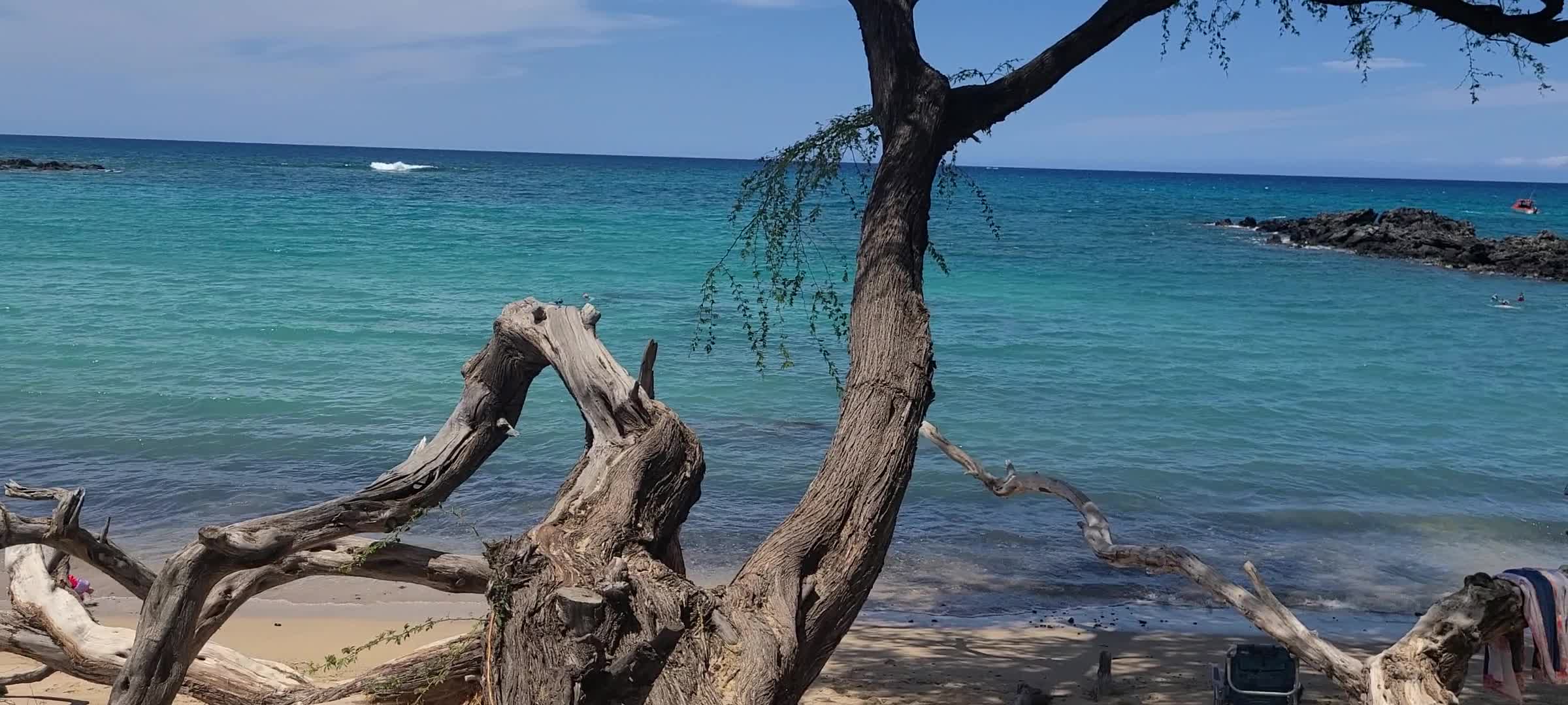Screenshot of the monitor displaying the DVR recording interface, indicating active recording.