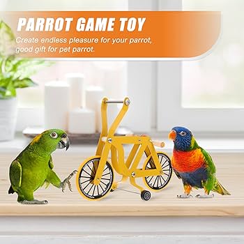 Amazon.co.jp: エアロバイク 鳥のおもちゃ 鳥のトレーニング