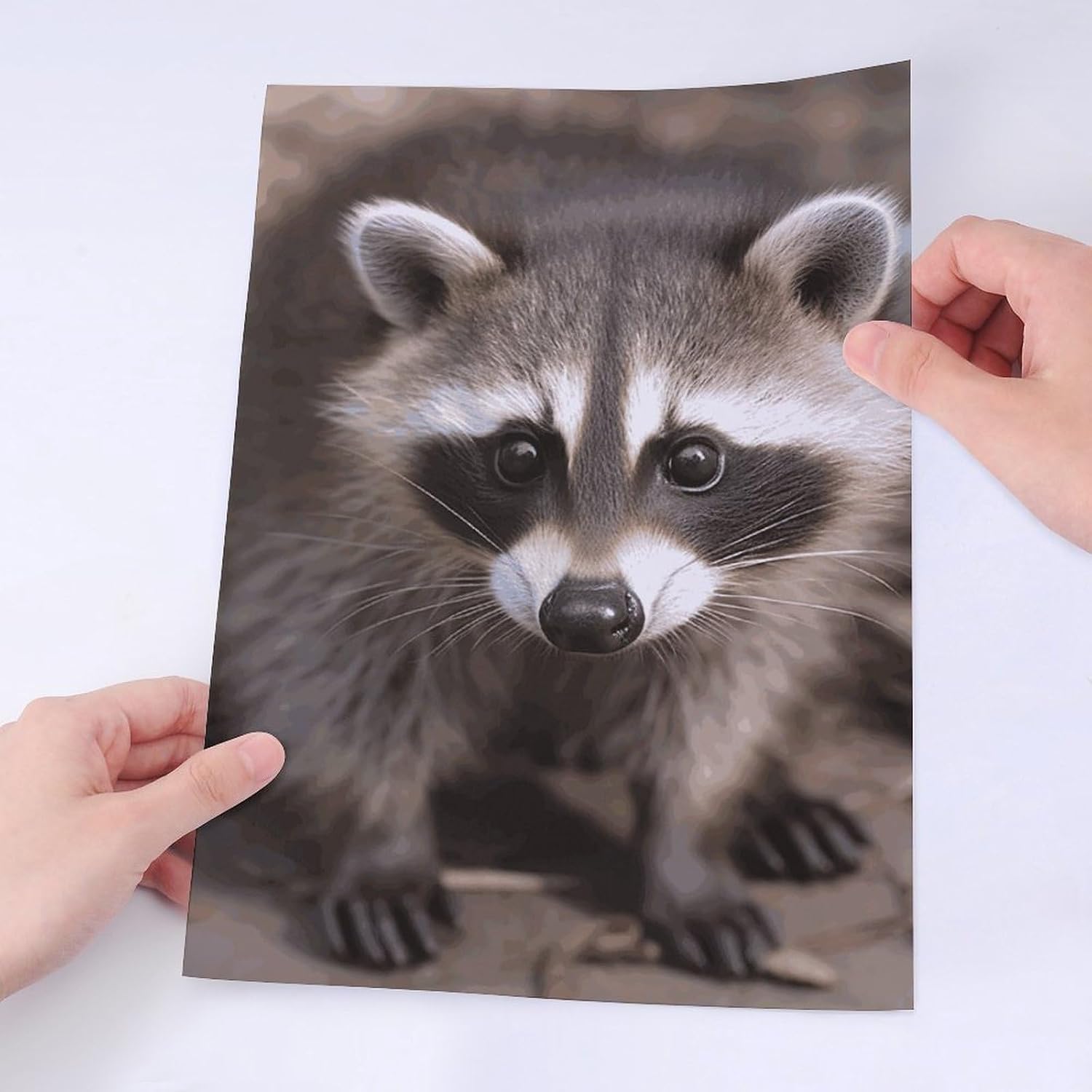 Cute Stickers Waterproof Funny Cub Raccoon Stickers for Water Bottles Laptop Decor