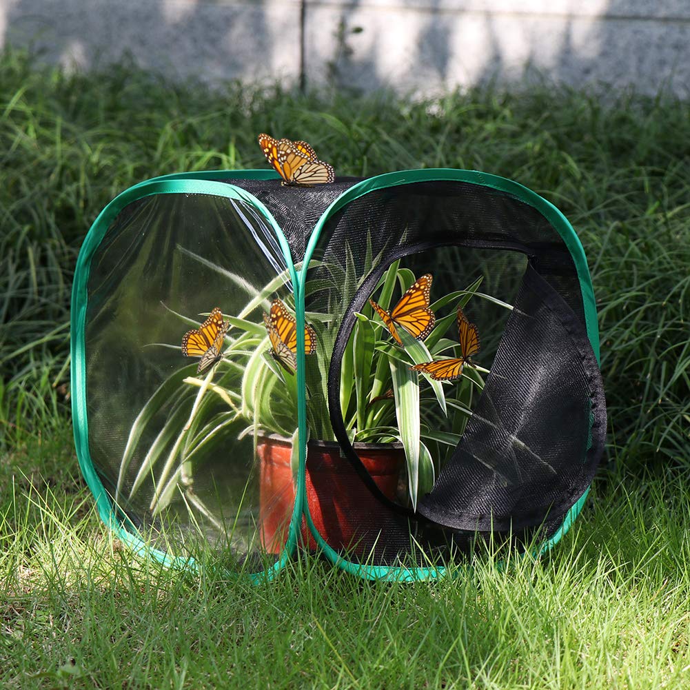 RESTCLOUD Insetto e Farfalla Habitat Cage Terrarium Pop-up 32 x 30 x 30 cm - 3