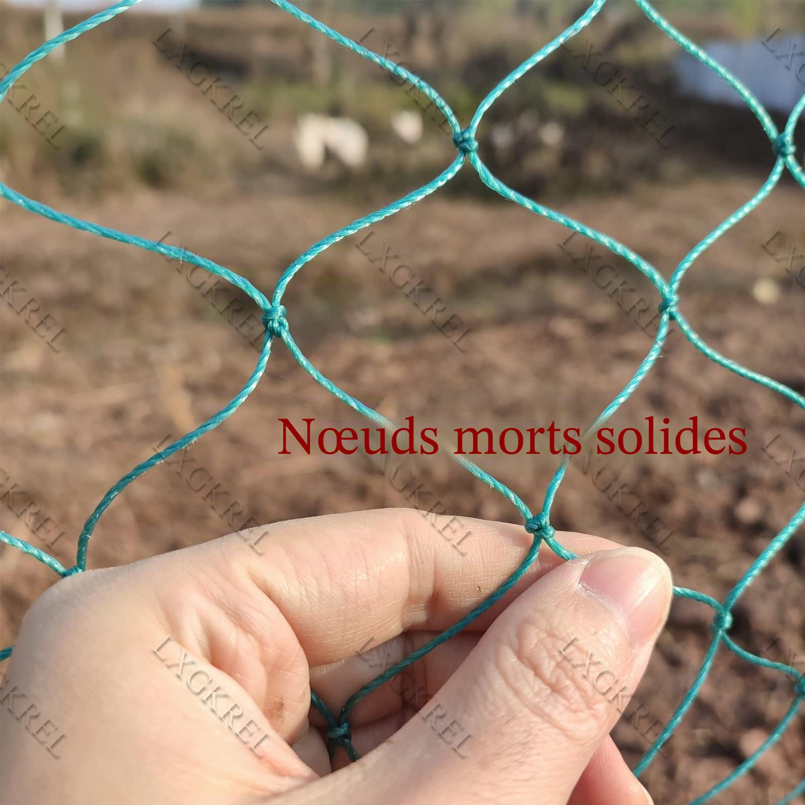 LXGKREL Filet de volaille très robuste en 36 fils avec nœuds fixes - 5 cm - Clôture de volaille sans électricité pour protéger les oiseaux de proie - Complément idéal du poulailler - 1,5 x 20 m