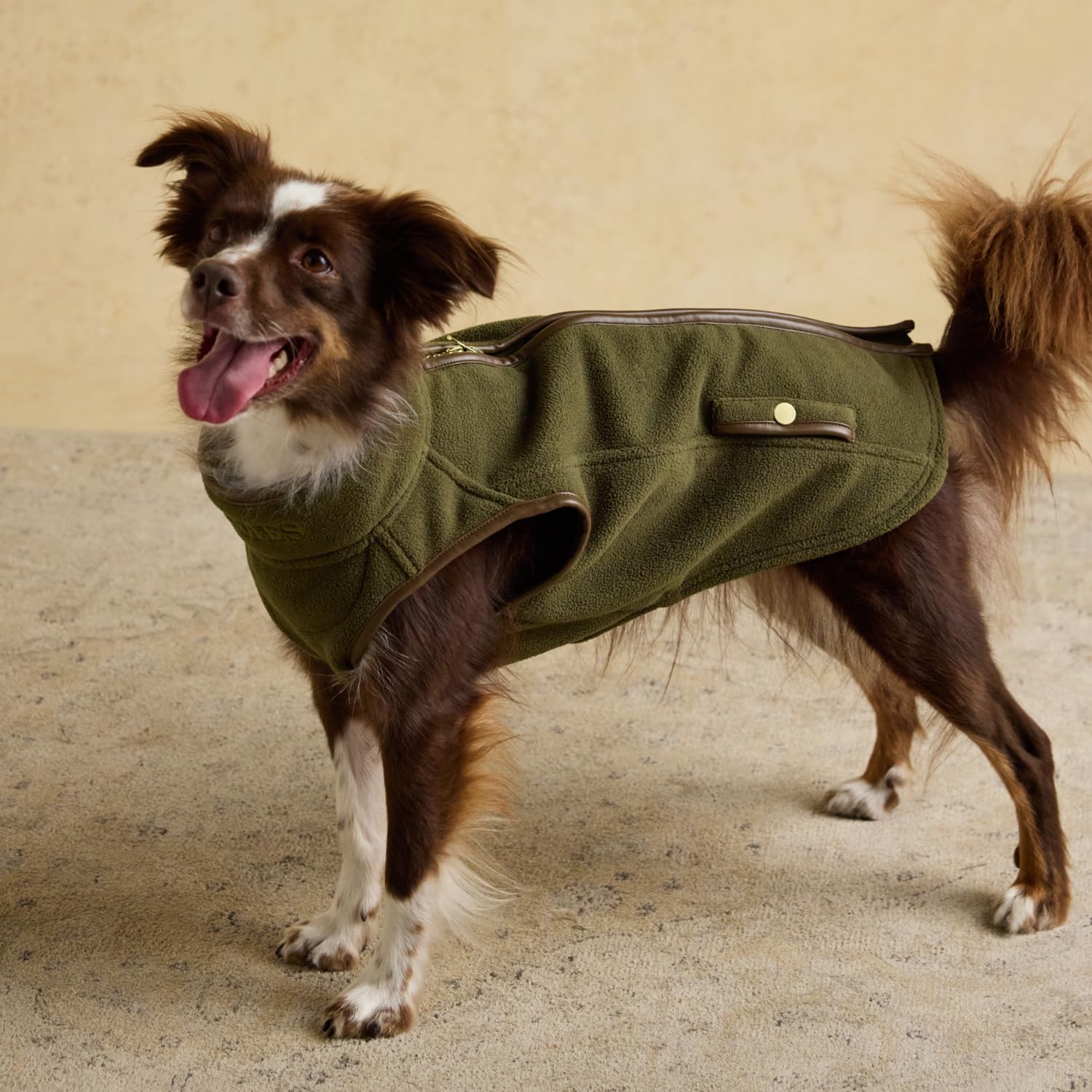 Joules Tan Collar