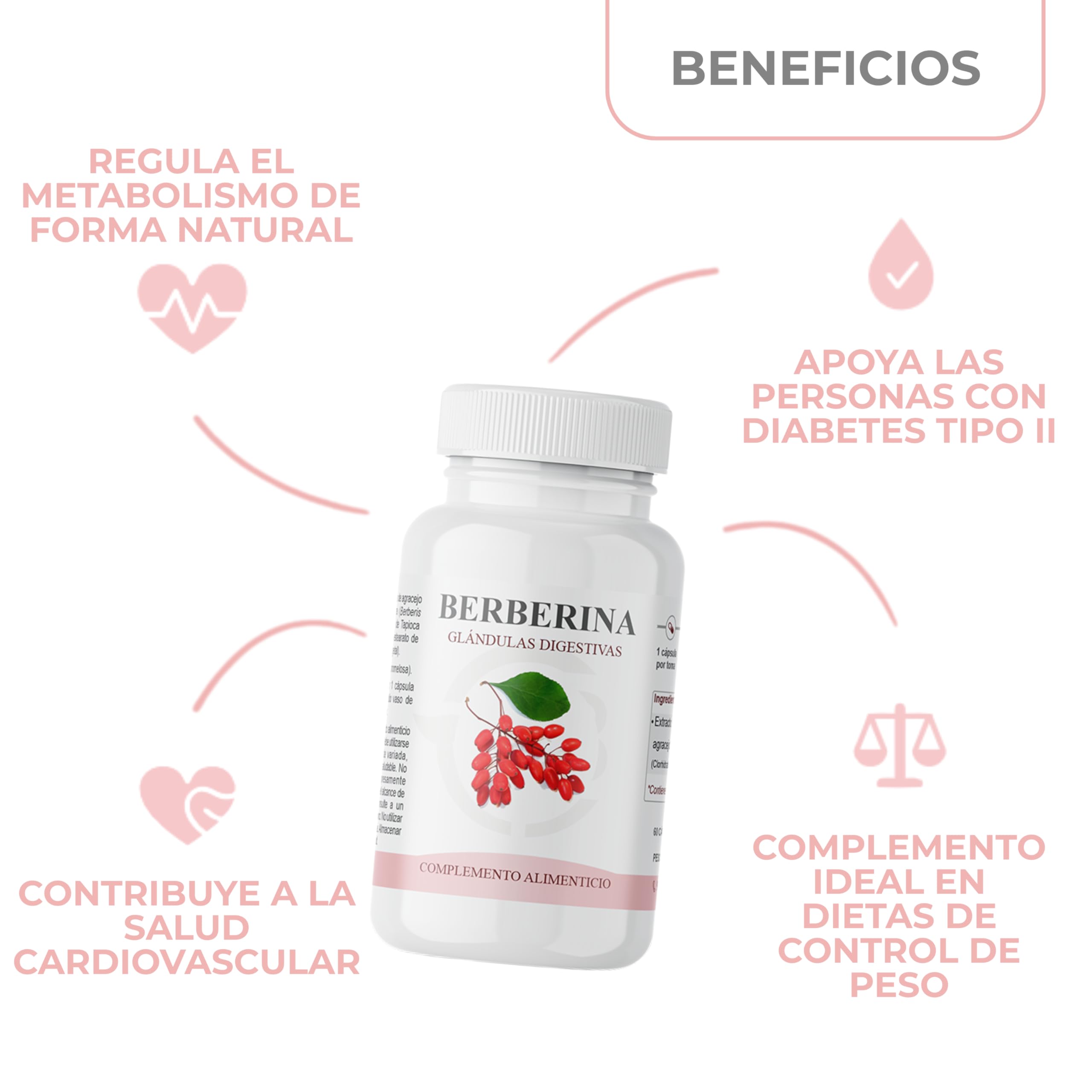 Berberina | Extracto de Berberis Vulgaris Titulado al 97% | 485 mg por Dosis | Regulador Metabólico | Energía Celular y Bienestar Digestivo | 60 Cápsulas Vegetales