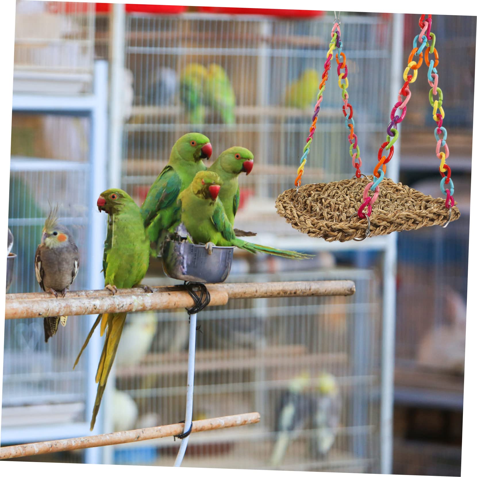 3 Piezas De Juguete De Madera para Pájaros, Casa para Pájaros, Juguete para Pájaros, Percha De Madera para Pájaros, Lugar De Descanso para Pájaros, Nido para Periquitos, Juguetes