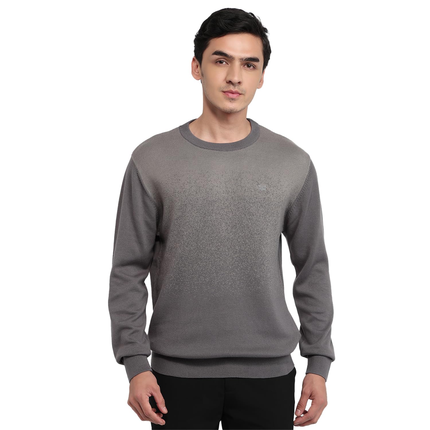 colorplus Men Regular Fit Jacquard Pattern Pure Cotton Full Sleeve Round Neck Casual Sweater-picture-44