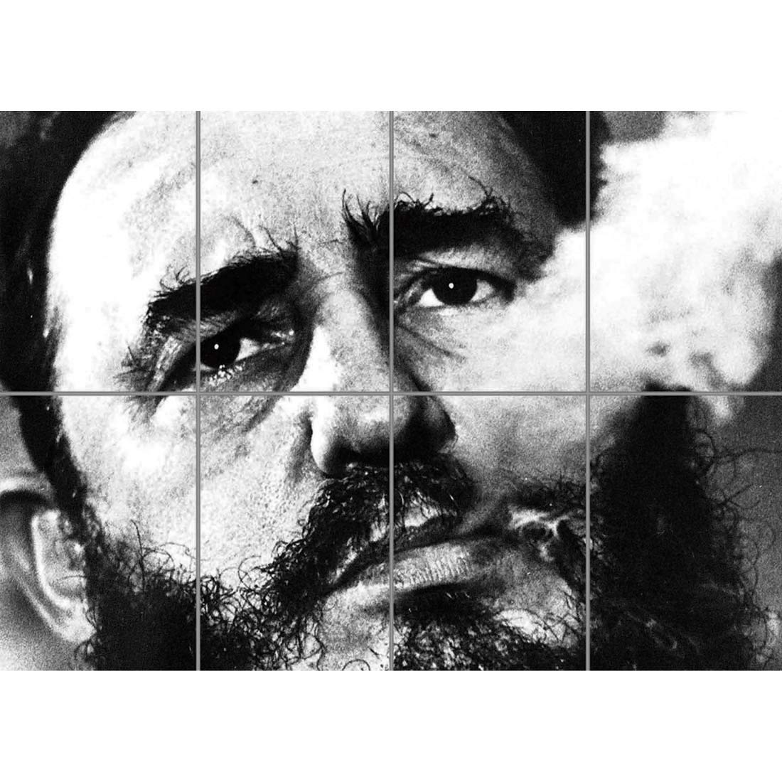 Doppelganger33 LTD Castro Fidel Revolution Communist Cuba XL Giant Panel Poster Art Print (8 Sections)